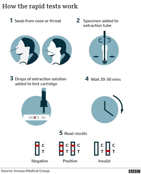 test seal labs covid test instructions|How to do an at.